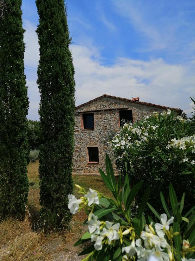 Casetta Dell'Uliveto Macchiascandona المظهر الخارجي الصورة
