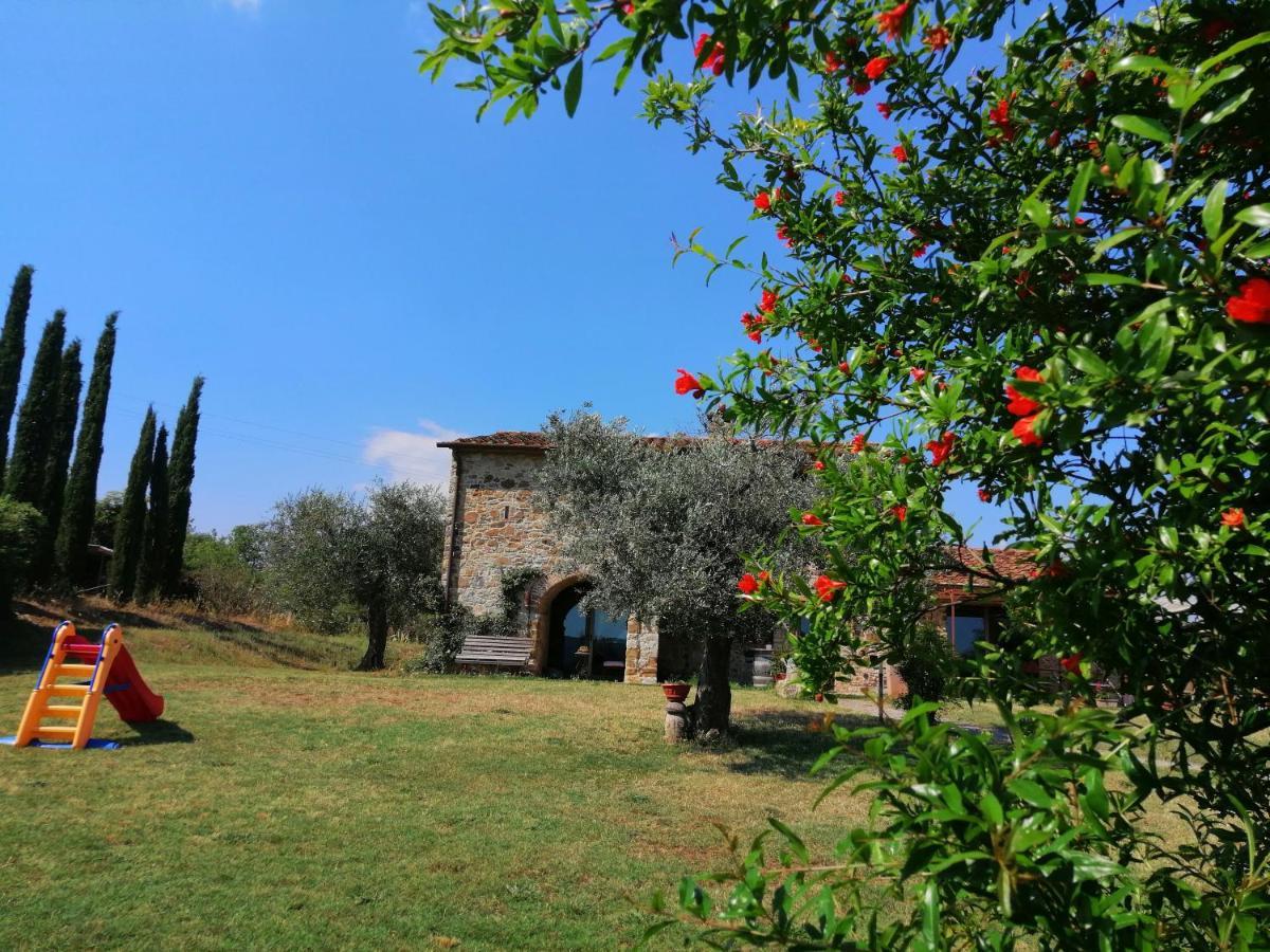 Casetta Dell'Uliveto Macchiascandona المظهر الخارجي الصورة