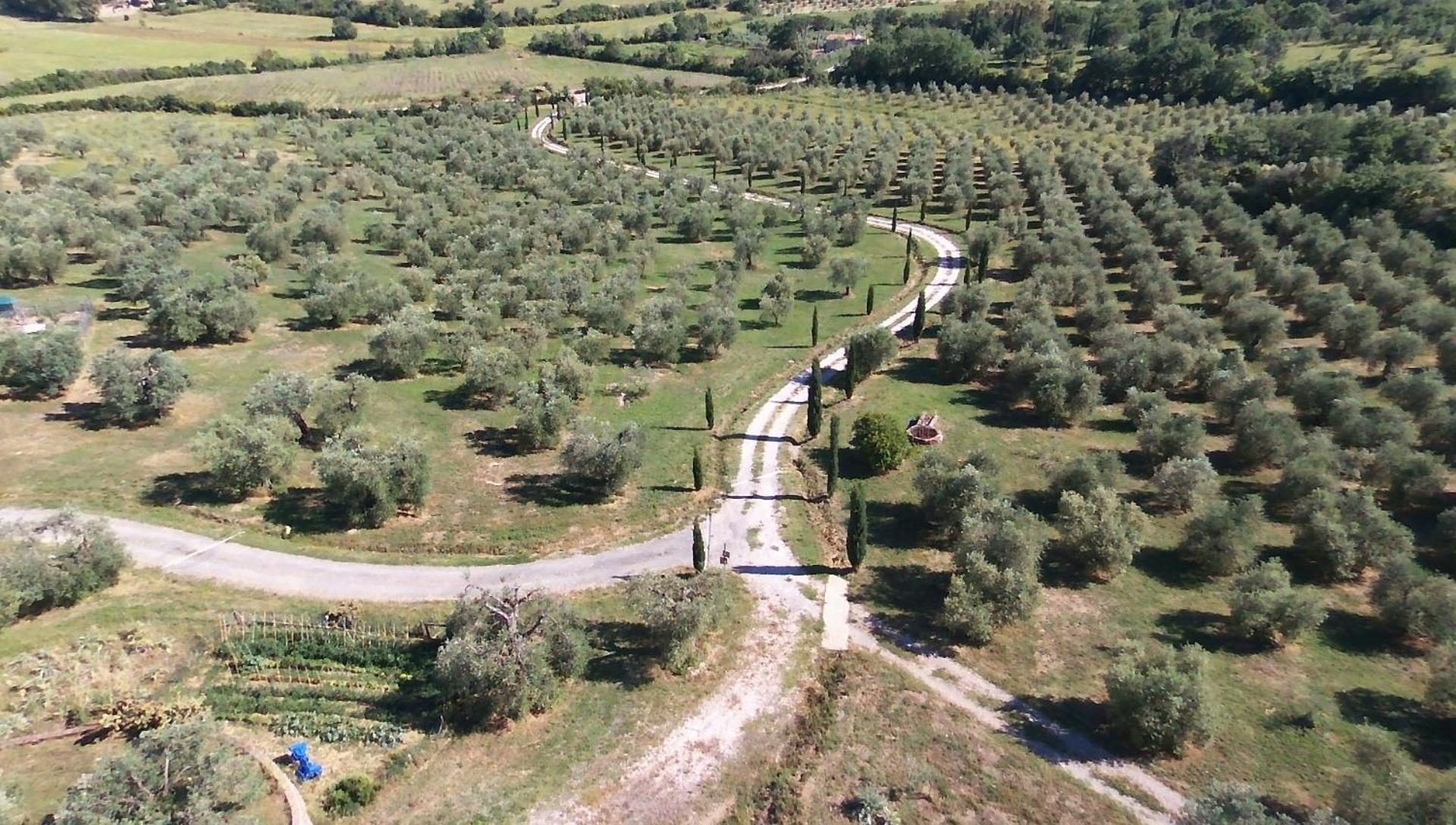 Casetta Dell'Uliveto Macchiascandona المظهر الخارجي الصورة